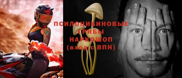 стаф Алзамай