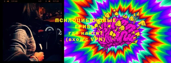 стаф Алзамай