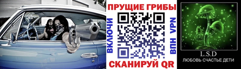 ссылка на мегу ТОР купить цена Плавск Псилоцибиновые грибы Cubensis