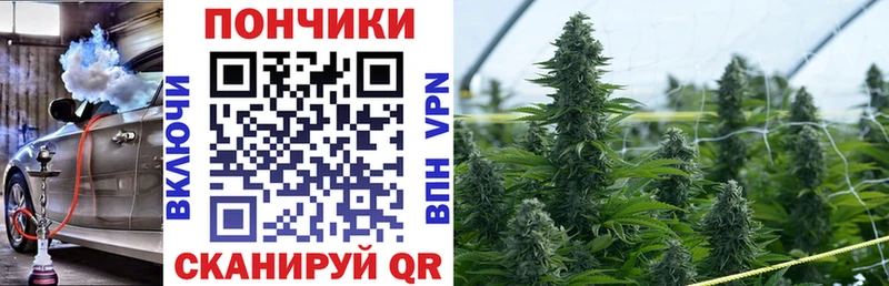Шишки марихуана White Widow  Плавск 